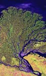 Lena Delta, Siberia