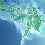 Mississippi River Delta, Louisiana USA