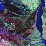 Parana River Delta, Argentina